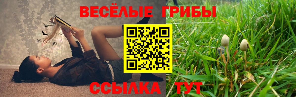 Псилоцибиновые грибы Magic Shrooms Новодвинск